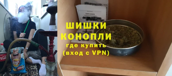 соль ск Богданович