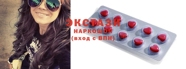 ECSTASY Богородск