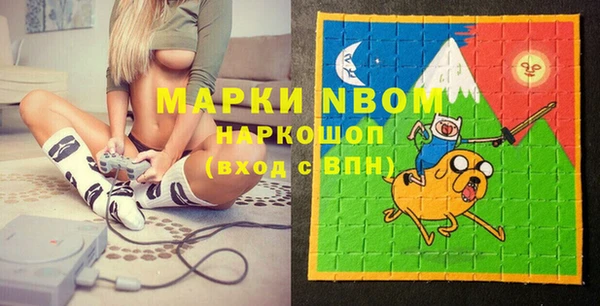 соль ск Богданович