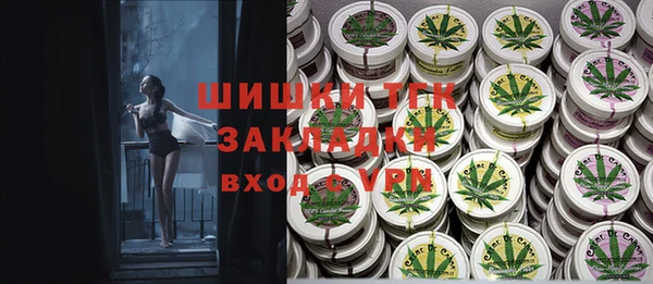 ECSTASY Богородск