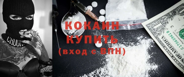 соль ск Богданович