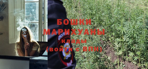 бутират Богородицк