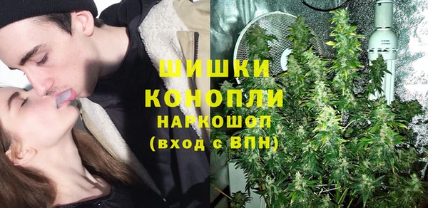 соль ск Богданович
