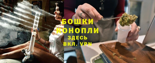 соль ск Богданович
