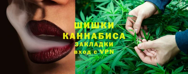 крисы Анжеро-Судженск
