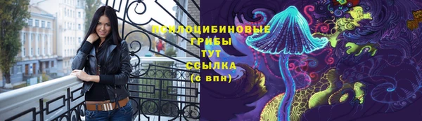 ECSTASY Богородск