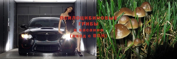 соль ск Богданович